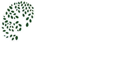 Zeytinburnu Cevizlibağ Psikoteknik Merkezi